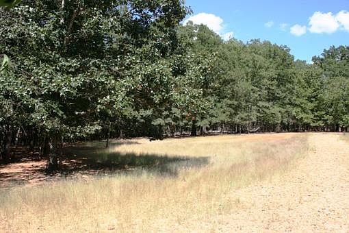 4th image of 1633 County Road 1345