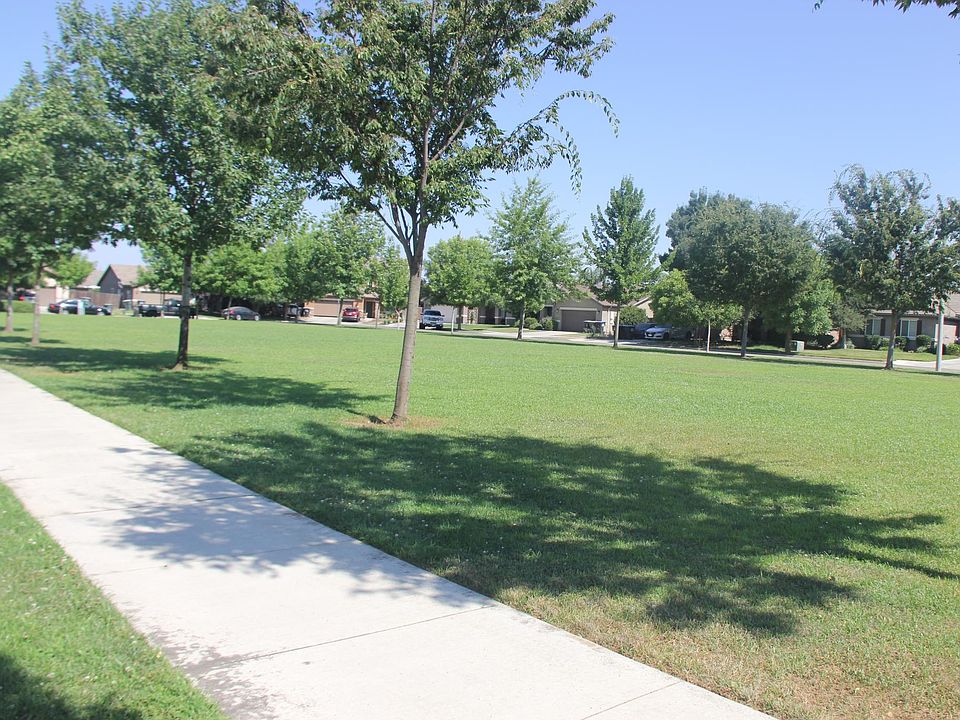 City Park Across Street