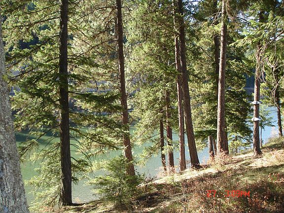 2nd image of Nhn Trestle Creek Dr