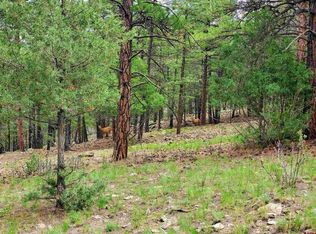 0253 Aspen Circle, South Fork, CO 81154