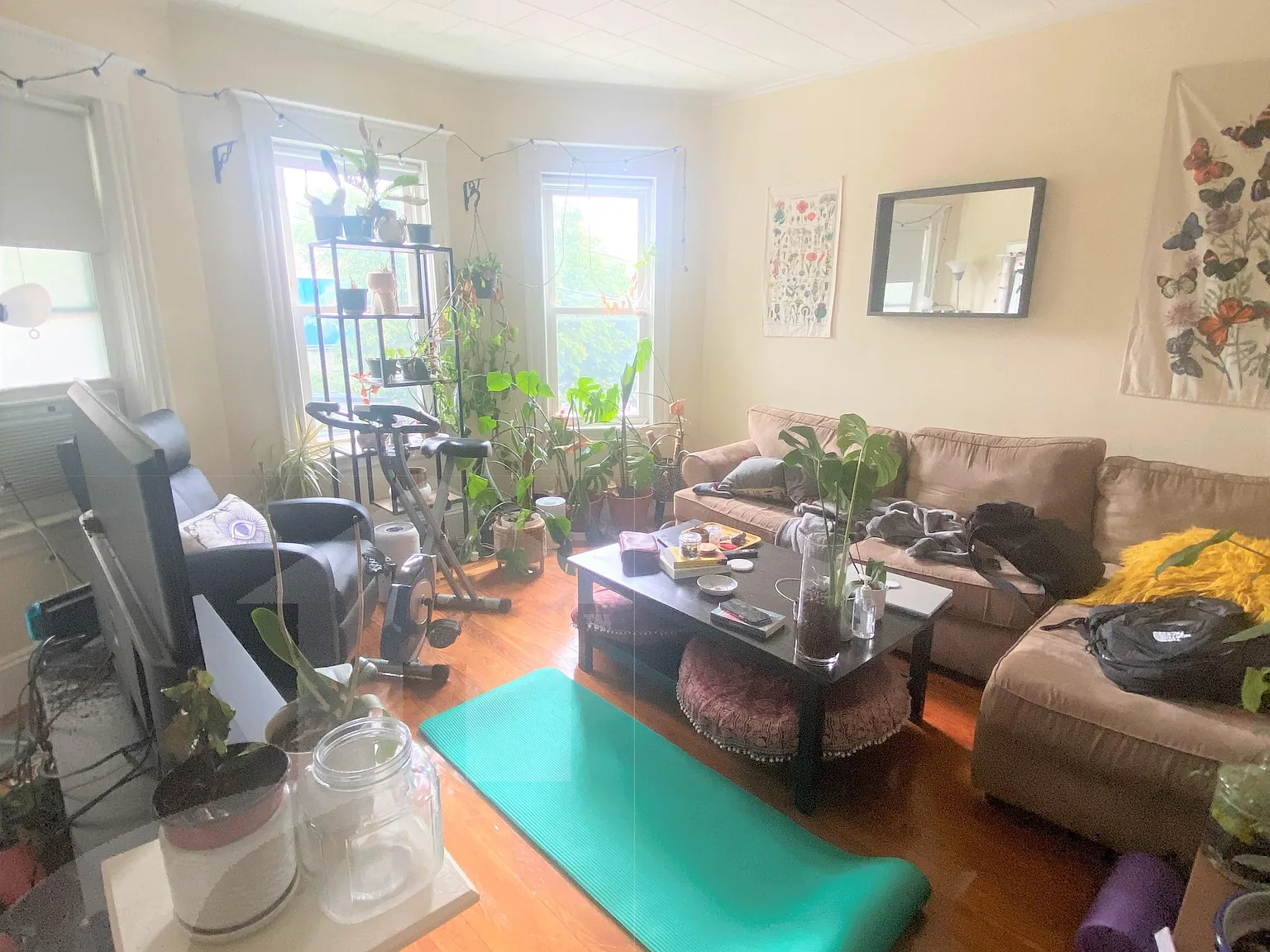 3 bed, 1000 sqft, $3,250 — Photo 3