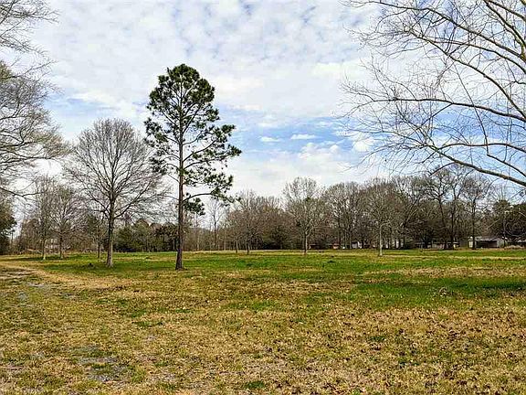 3rd image of 12433 Forrest Braud Ln