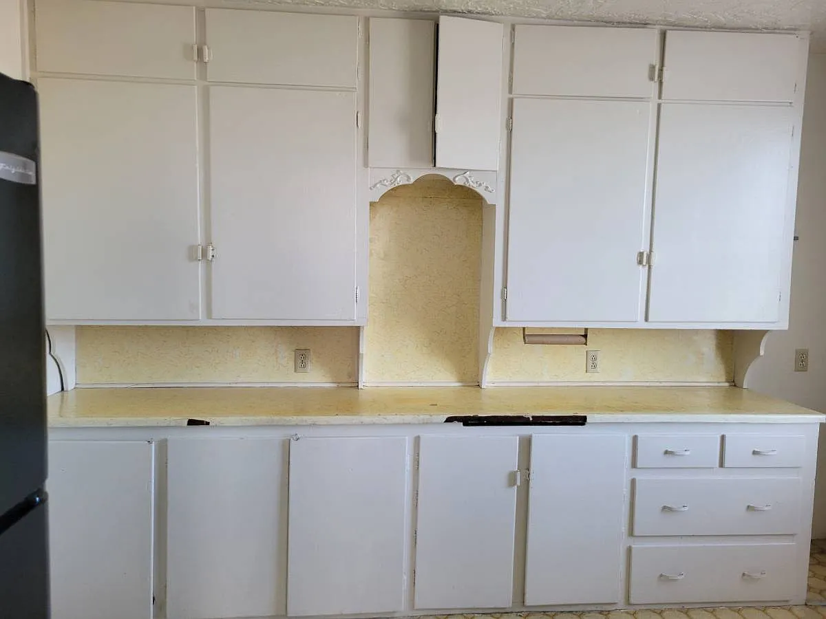 1 bed, $600 — Photo 2
