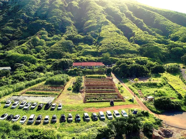 587 Pakala St, Honolulu, HI 96825
