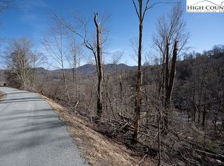 25 Highland Cir, Sugar Mountain, NC 28604