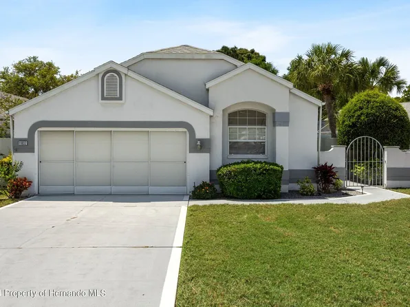 11032 Via De Rosa Ln, Spring Hill, FL 34608