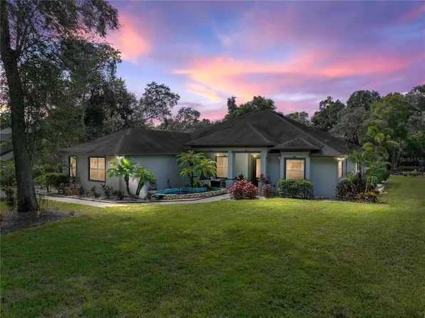 6808 Misty Hollow Ct, Seffner, FL 33584