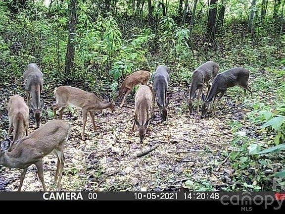 5th image of 5527 Rhoney Rd