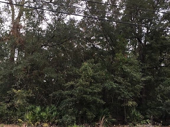 Additional view of lot