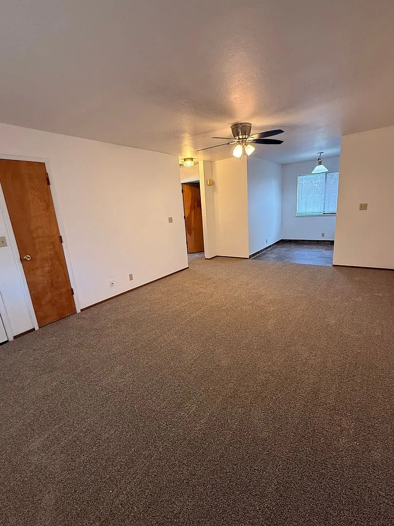 0665 - 965 Cyndi Cir — Photo 3