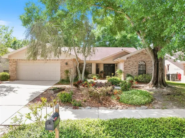 1019 Woodcrest Ave, Safety Harbor, FL 34695