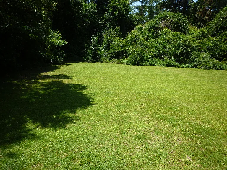 1541 Pullen Rd — Photo 14