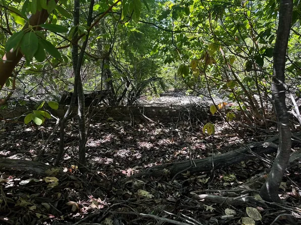 6620 Rock Creek Rd, Georgetown, CA 95634