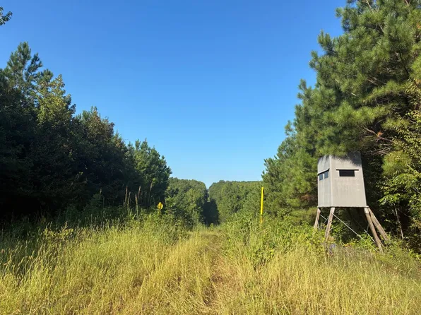 County Road 37, Moundville, AL 35474