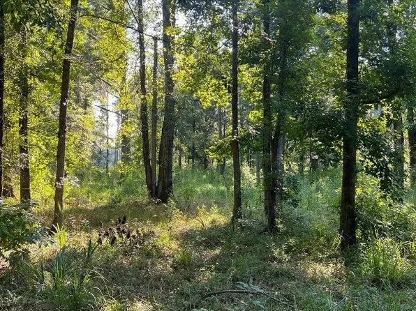 1506 Barganier Rd, Cecil, AL 36013