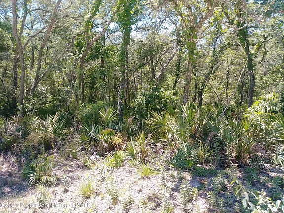 4th image of 0 Chimney Rock Dr