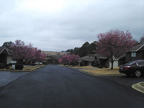 2nd image of 124 Corporate Ter APT 16B