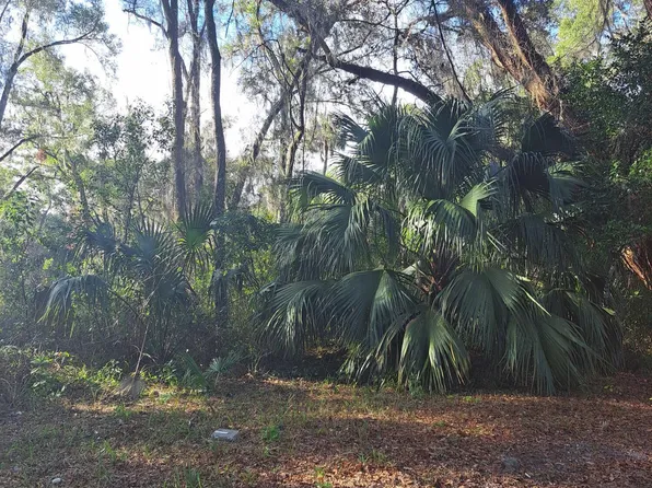 00 NE 142ND Place, Anthony, FL 32617