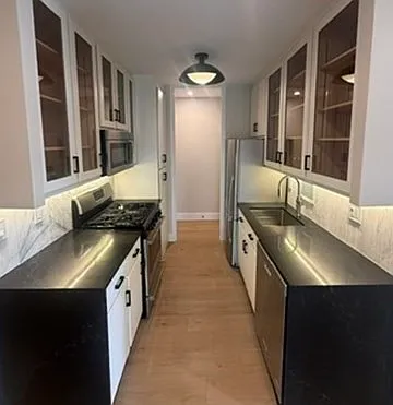 65 E India Row #10G — Photo 4