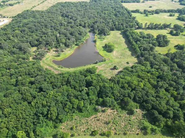 County Road 3371, Saltillo, TX 75478