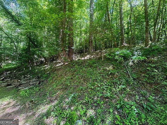 3rd image of 0 Bible Baptist Rd