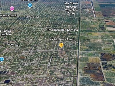 647 Mulberry Ave S, Lehigh Acres, FL, 33974