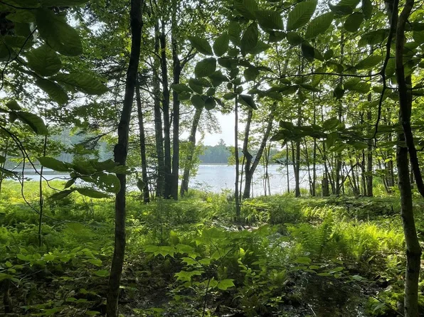 0 Off N.Hidden Lake Road, Stoddard, NH 03464