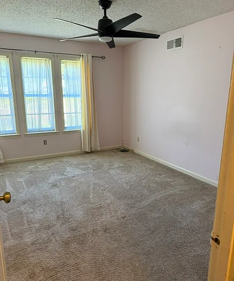 8083 Cinders Rd — Photo 13