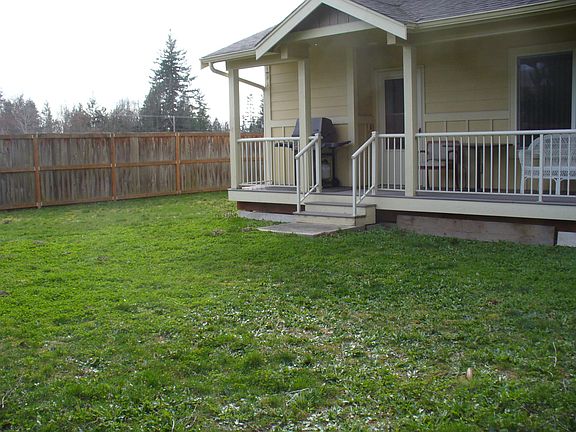 Back yard