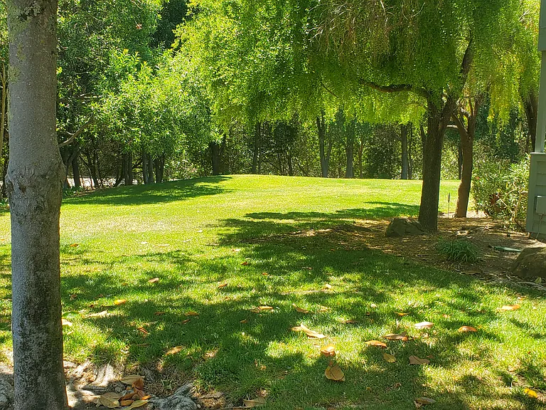 7815 Canyon Meadow Cir #B — Photo 6