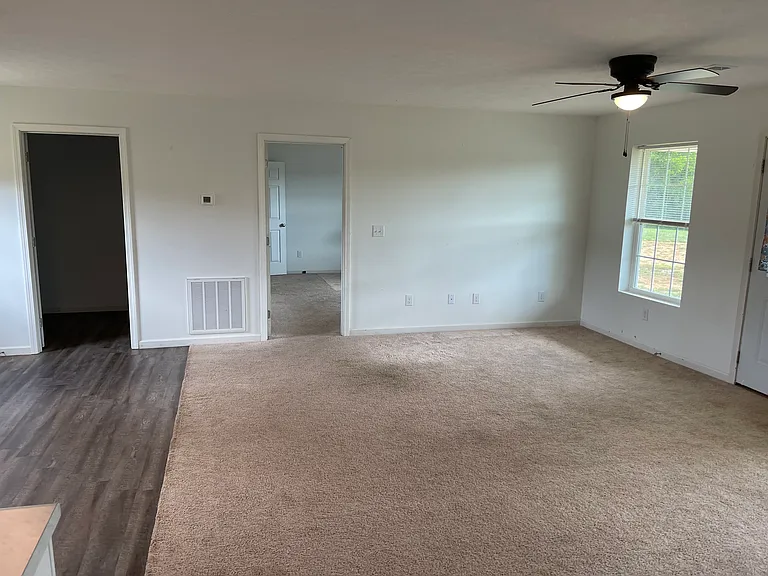 491 Coile Rd — Photo 13