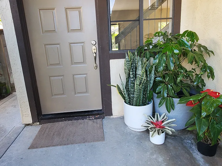 3621 Cheshire Ave — Photo 13