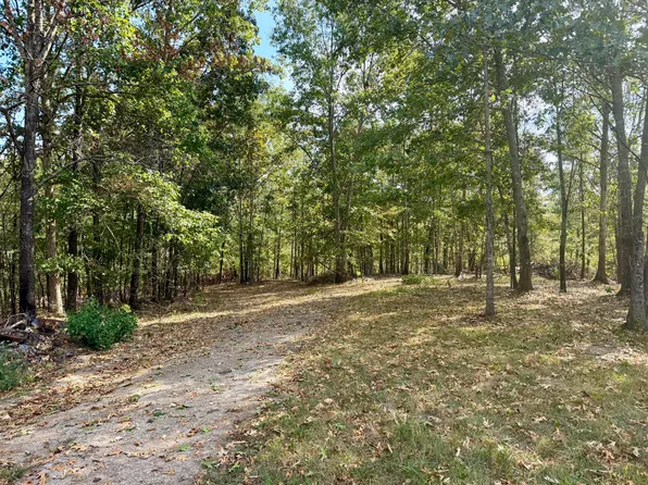 000 County Road 306, Van Buren, MO 63965
