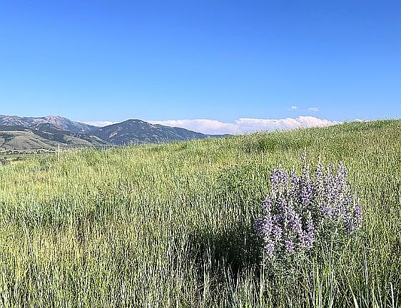 3rd image of 31 Solitude