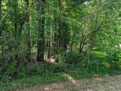 0 Gum St, Tracy City, TN, 37387