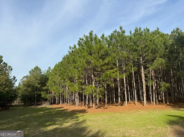 13 State Route 45, Highway Plains, GA 31780