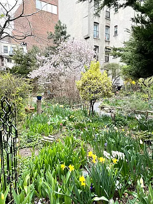 Rented by Jonis Realty | media 21