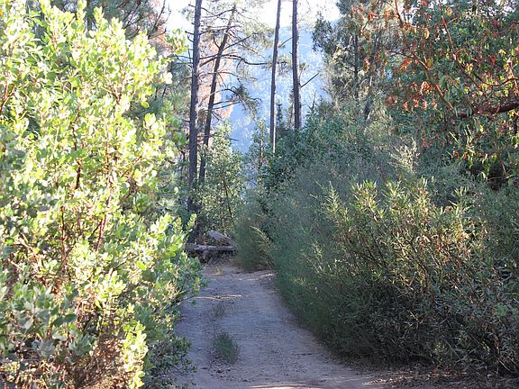 4th image of 29525 Loma Chiquita Rd