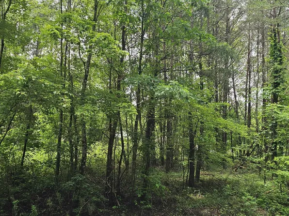 3/ACRE S County Road 106, Mentone, AL 35984