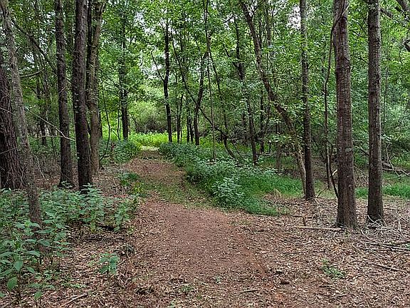 Trails 