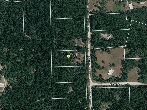 125 NE 450th St, Old Town, FL 32680