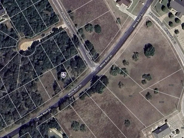 1545 White Bluff Dr, Whitney, TX 76692