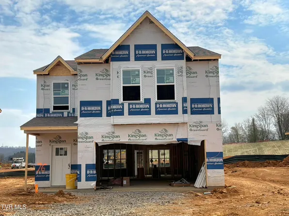 216 Artist Ave, Johnson City, TN 37615