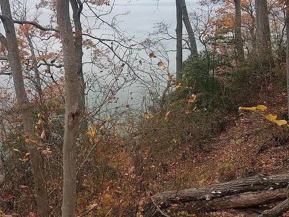 3rd image of 3929 Turkey Point Rd