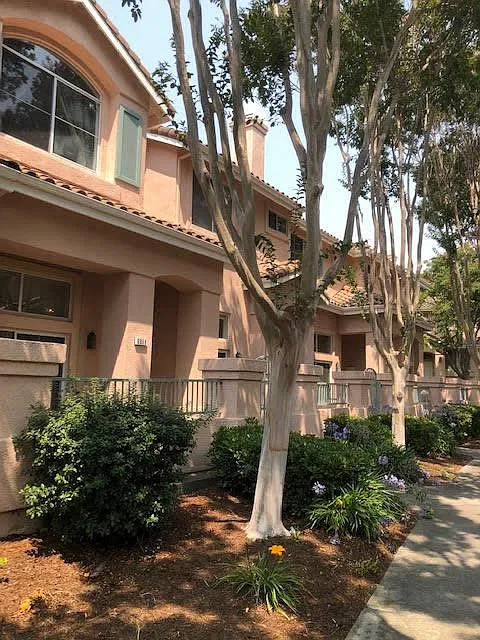 3 bed, 2.5 bath, 1514 sqft, $4,200 — Photo 4