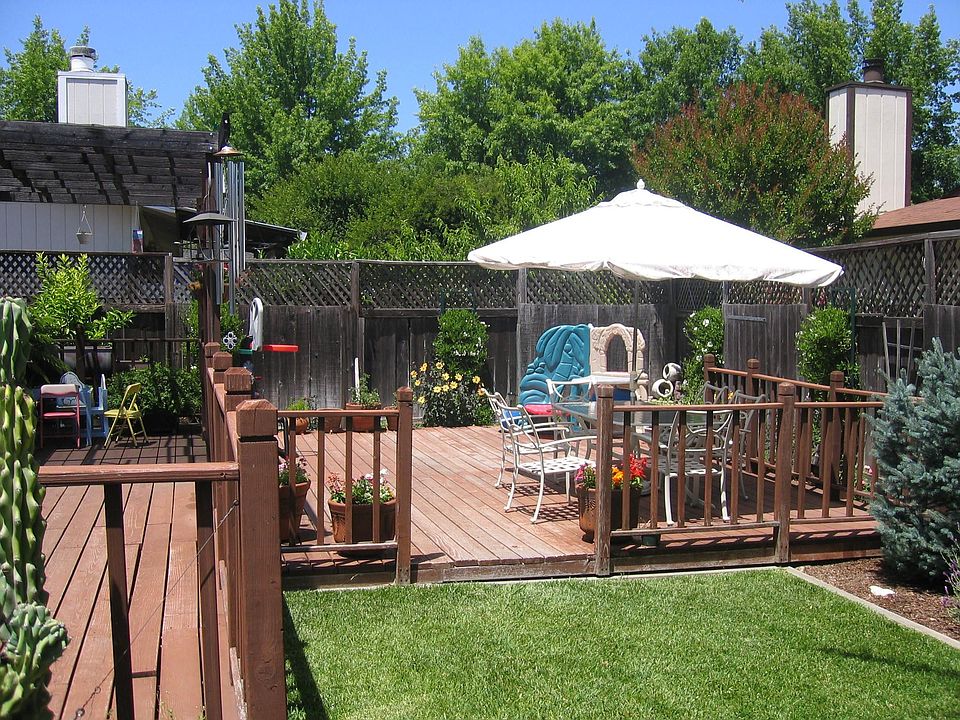 landscaped back yard