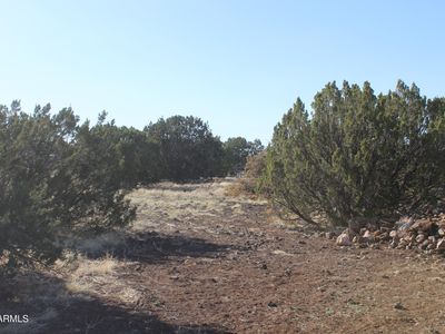 8588 Kaibab Ln, Show Low, AZ, 85901