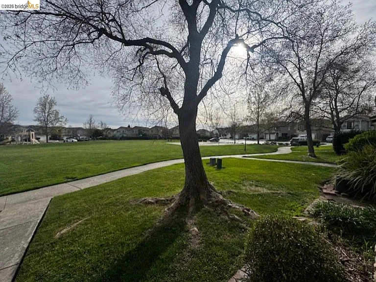 8224 Shay Cir — Photo 4