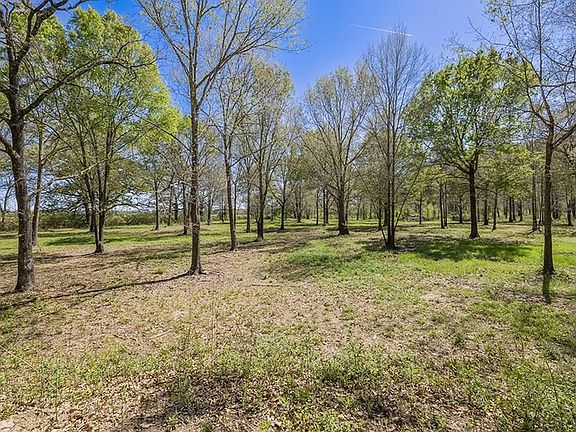 5th image of 446 County Road 4001