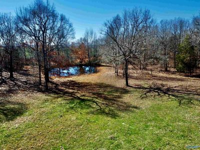 276 Mint Springs Rd, New Market, AL, 35761